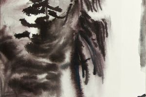 Andrea C. Hoffer