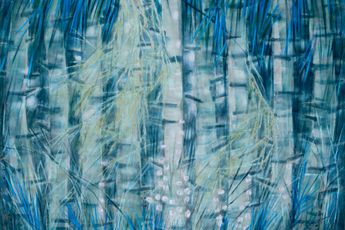 Robert Zandvliet contemporary artist
