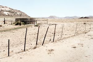 David Goldblatt