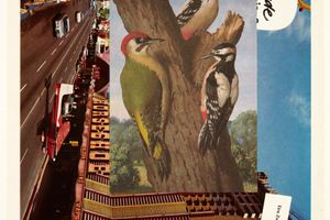 John Stezaker