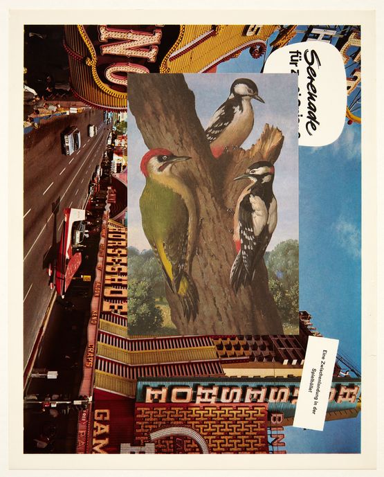 Aviary II by John Stezaker contemporary artwork Mixed Media