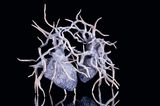 Double Happy by Suzann Victor contemporary artwork sculpture