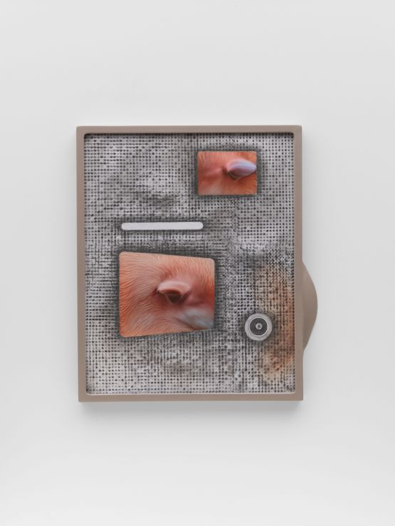 Gray Zone-15 by Tishan Hsu contemporary artwork Works on Paper