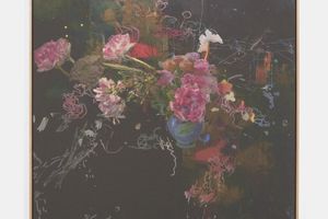 Petra Cortright