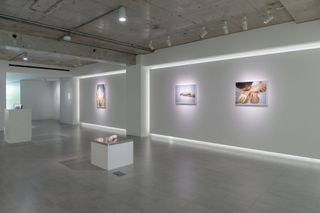 Contemporary art exhibition Akihiro Hasegawa Rin Nakanishi Akihiro Hasegawa  Rin Nakanishi at K Contemporary Tokyo Japan