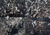 An Unstable Archive - 1 by Vivek V C contemporary artwork print