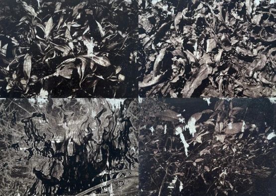 An Unstable Archive - 1 by Vivek V C contemporary artwork Print