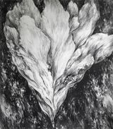 untitled III by Julia Steiner contemporary artwork works on paper