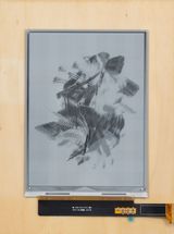 L-systems flowers 2 by Robbie Barrat contemporary artwork mixed media nft sculpture