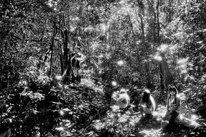 Sebastiao Salgado