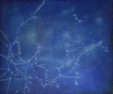 Signal_Submarine Networks 04 Norway by Tan Mu contemporary artwork painting
