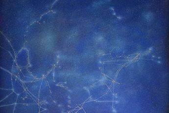 Tan Mu contemporary artist