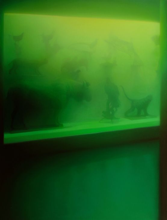 Nature Solidified No. 2 by Ma Sibo contemporary artwork Painting
