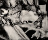 Primordial 3 by Casey Reas contemporary artwork print