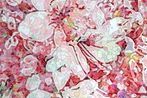 Nozomi Kobayashi contemporary artist