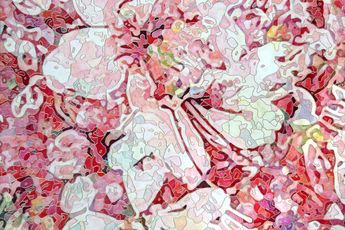Nozomi Kobayashi contemporary artist