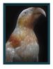 Kaka kura Nestor meridionalis septentrionalis colour morph Rangataua Tongariro collection of the Museum of New Zealand Te Papa Tongarewa Te Whanganui-a-Tara Wellington Aotearoa New Zealand by Fiona Pardington contemporary artwork Print