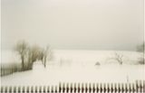 Koppelzaun by Frank Madler contemporary artwork print