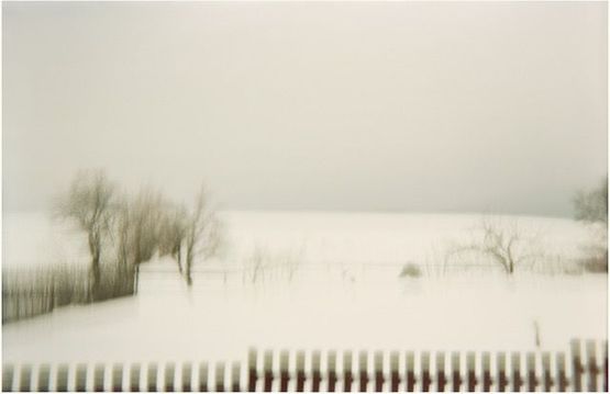 Koppelzaun by Frank Madler contemporary artwork Print