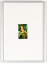 Ohne Titel by Jakob Krinzinger contemporary artwork painting photography print works on paper