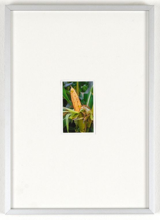 Ohne Titel by Jakob Krinzinger contemporary artwork Painting