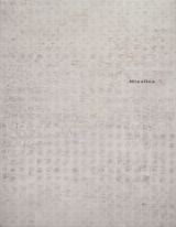 Missiles by Jenny Holzer contemporary artwork painting