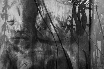 Dinh Q. Le contemporary artist