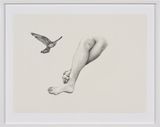 Inseparable Nankeen Kestrel by Patricia Piccinini contemporary artwork drawing works on paper