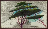 Portrait of Italy Through Its Trees Painting on Map XXIV by Julian Schnabel contemporary artwork Works on Paper