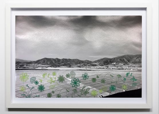 Greenhouse flowers 1 by Monica De Miranda contemporary artwork Print