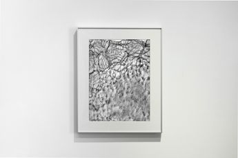 Feng Chen contemporary artist