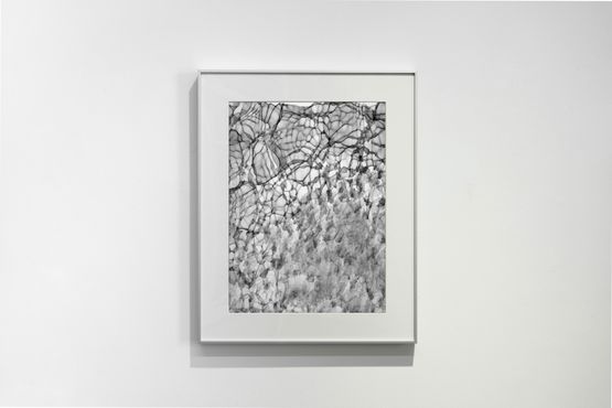 Between 20hz-30hz 11 by Feng Chen contemporary artwork Photography