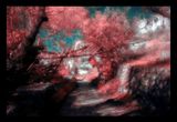 Untitled 7 from For Them 2 series by Rula Halawani contemporary artwork print