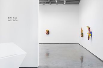 Contemporary art exhibition Ruby Neri Wall Works at David Kordansky Gallery Los Angeles United States