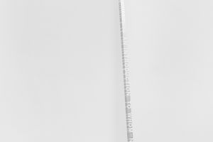 Roni Horn