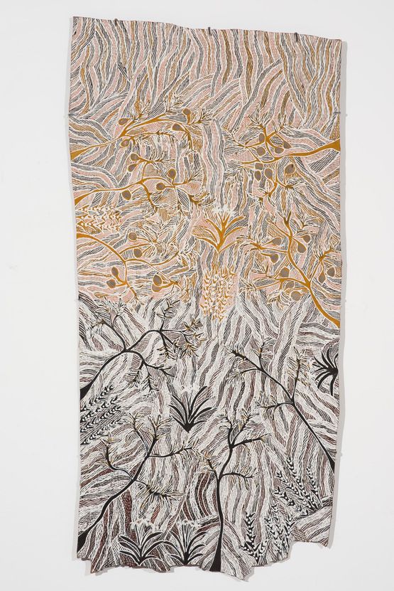 Dhagi Warrkarr Murrtjumun and Butjiriani by Yalmakany Marawili contemporary artwork Painting