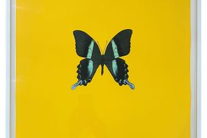 Damien Hirst