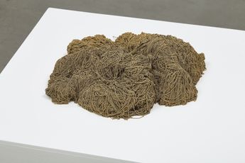 Enrica Bernardelli contemporary artist