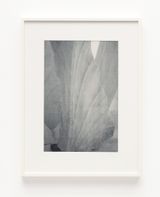 Parthenon. West pediment. Crowning akroterion floral ornament by James Welling contemporary artwork print