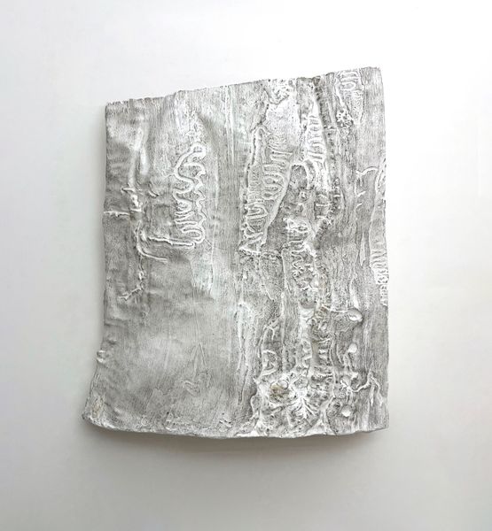 Study for Vermicular Calligraphy XII by Cui Fei contemporary artwork Works on Paper