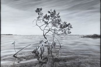Arnold Lalongisip contemporary artist