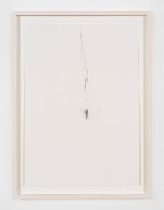 ParticleWord Theory by Jimmie Durham contemporary artwork Drawing
