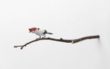 Soldadinho-do-Araripe by Efrain Almeida contemporary artwork sculpture