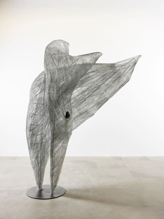 Phoenix by Tess Dumon contemporary artwork Sculpture