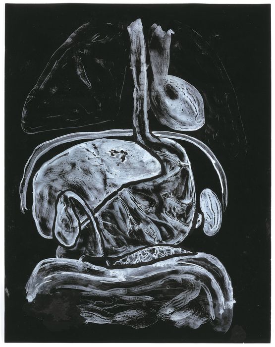 Intestine by Kiki Smith contemporary artwork Painting