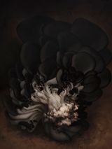Mushroom No.13  No.13 by Yan Bing contemporary artwork painting
