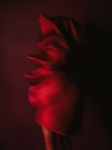 Red III by Xenia Fuentes contemporary artwork photography print