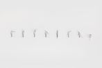 One-way Designatum Manifested by Two-dimensional Space and Folding Space by Wang Luyan contemporary artwork Drawing
