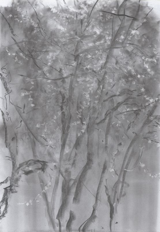 Miscellaneous Various Flower by He Duoling contemporary artwork Works on Paper
