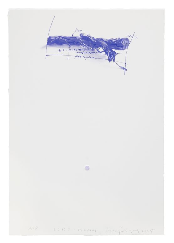Like-150mm by J Young contemporary artwork Works on Paper